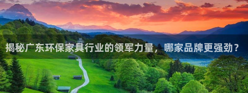 杏耀app怎样申请退款：揭秘广东环保家具行业的领军力量，哪家