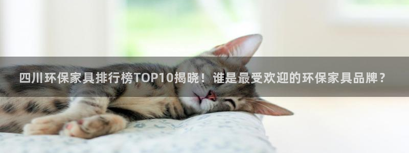 杏耀平台官方网站：四川环保家具排行榜TOP10揭晓！谁是最受