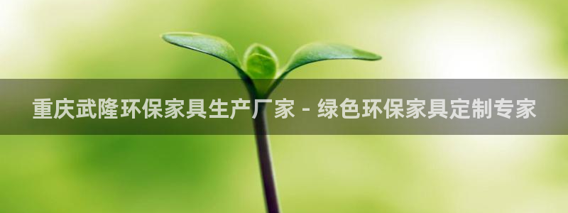杏耀注册登录平台：重庆武隆环保家具生产厂家 - 绿色环保家具